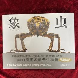 象虫 : マイクロプレゼンス : 小檜山賢二写真集