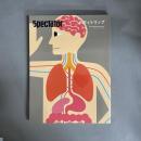 ボディトリップ : Spectator