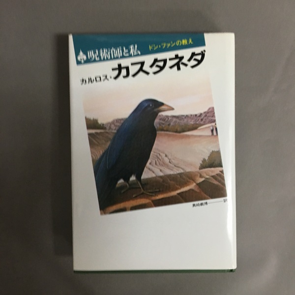 呪術師と私 : ドン・ファンの教え(カルロス・カスタネダ著 ; 真崎義博