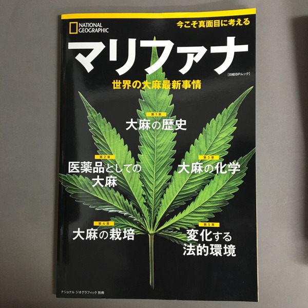 ある愛 ディーノ・ブッツァーティ 脇功 , 在里寛司訳 河出書房新