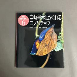 亜熱帯林にかくれるコノハチョウ