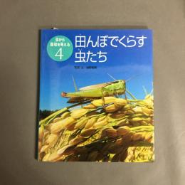 田んぼでくらす虫たち