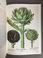 BLÜTEN, KRÄUTER UND ESSENZEN　中世写本の草花と薬草　洋書