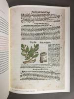 BLÜTEN, KRÄUTER UND ESSENZEN　中世写本の草花と薬草　洋書