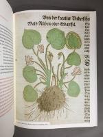 BLÜTEN, KRÄUTER UND ESSENZEN　中世写本の草花と薬草　洋書