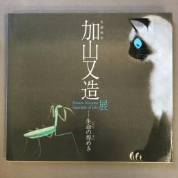 生誕90年　加山又造展　生命の煌めき