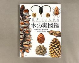 世界のふしぎな木の実図鑑