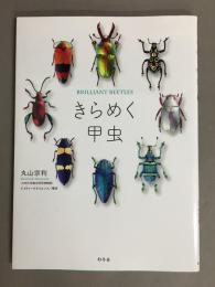 きらめく甲虫