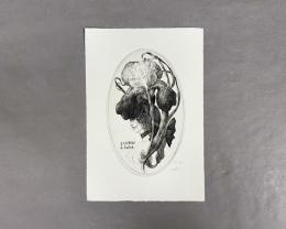 林由紀子　銅版画　蔵書票　07　46/70