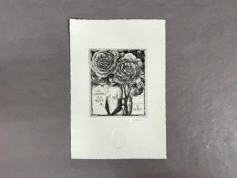 林由紀子　銅版画　蔵書票　14　36/50