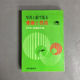 写真と絵で見る愛撫と性技