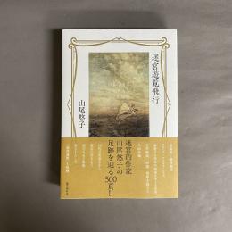 迷宮遊覧飛行