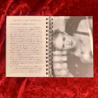 ガーデンシネマ・イクスプレス　第54号　エイドリアン・ライン監督作品　Lolita/ロリータ　映画パンフレット　　