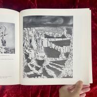 DADA, SURREALISM, AND THEIR HERITAGE