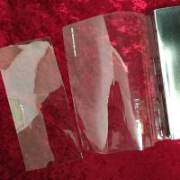 うつしとられた身体