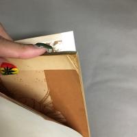 風俗奇譚　画報 風俗奇譚 1961年4月臨時増刊号