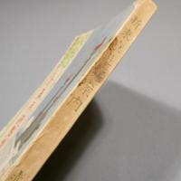 新東京遊覧案内