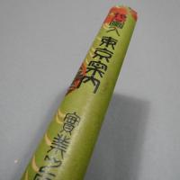 地図入 東京案内