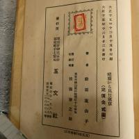 縦横から見た東京　大正15年版　