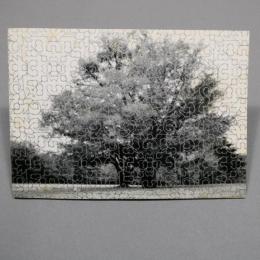 ROOM-GRASS-FOREST COLLAGES AND DRAWINGS