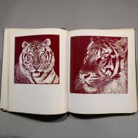 MARBLE BOOK 3　スクラッチボード ― scratch board  ◆送料無料◆