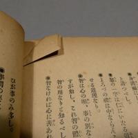 運命開拓 秘密之鍵