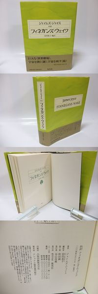 抄訳 フィネガンズ・ウェイク / ジェイムズ・ジョイス 宮田恭子