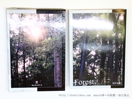 Forest。