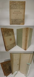 表象抒情詩集