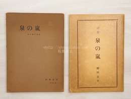 詩集　泉の嵐