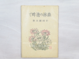森林の池畔で