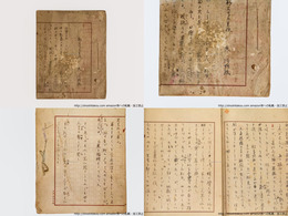 原阿佐緒草稿『私たちの生活』