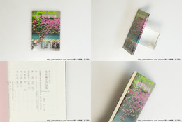 永井陽子全句集　限定400部　風の花冠文庫35