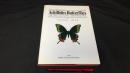 003 Achilides Butterfiles コレクションシリーズ アキリデス