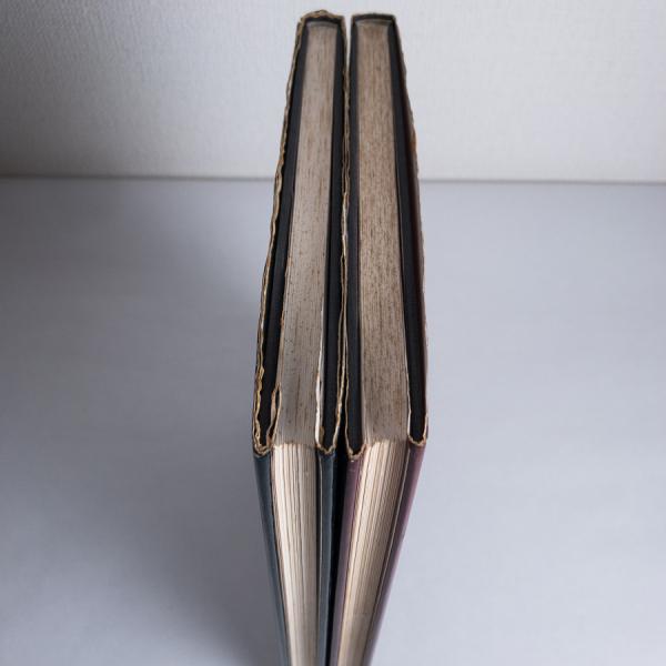 バイロス画集 1・2(フランツ・フォン・バイロス) / 古本、中古本、古