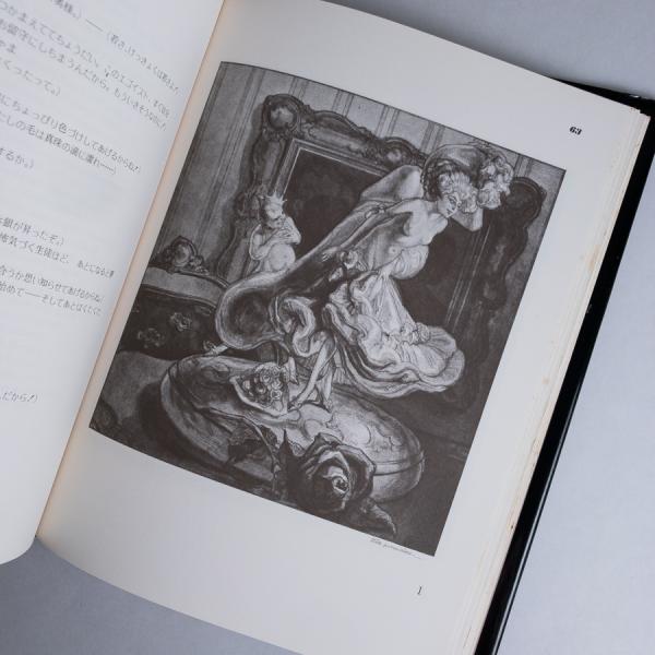 バイロス画集 1・2(フランツ・フォン・バイロス) / 古本、中古本、古