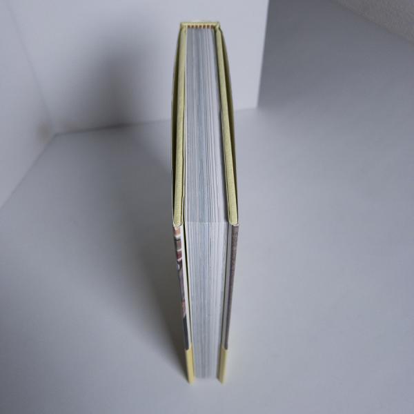 にっぽんのかわいいタイル 昭和レトロ モザイクタイル篇 加藤郁美 書肆スーベニア 古本 中古本 古書籍の通販は 日本の古本屋 日本の古本屋