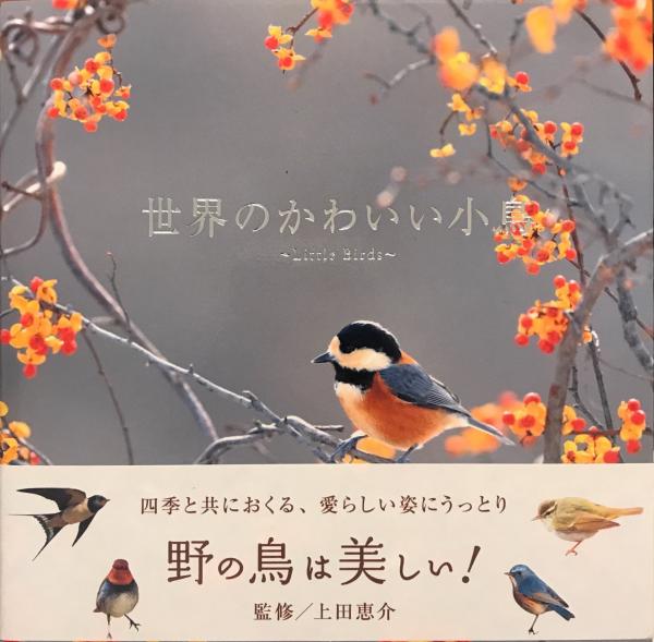 世界のかわいい小鳥(上田恵介／監修) / 古本、中古本、古書籍の通販は