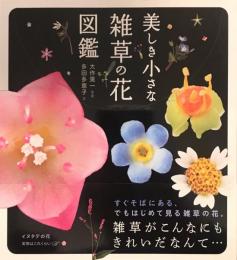 美しき小さな雑草の花図鑑