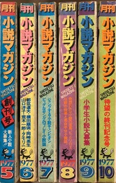 月刊小説マガジン　全6冊揃