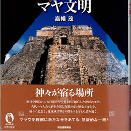 図説マヤ文明