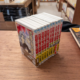 花冠の竜の姫君 全10巻揃