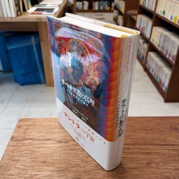 新装版 チベット密教の真理 その象徴体系の研究