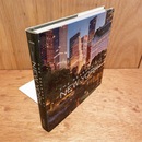 The Seasons of New York