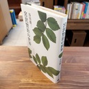 宮沢賢治の世界