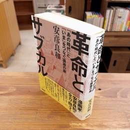 革命とサブカル
