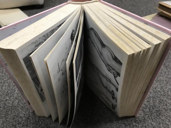 The Complete Reprint of Physique Vol. 1