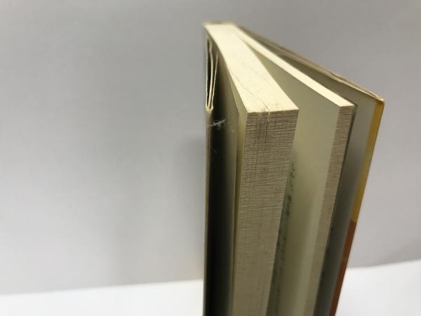 ポケットいっぱい 真創世記 天上編―すべての真実を今ここに 通販