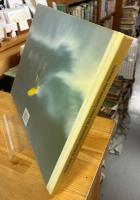 Surfing Photographs from the Seventies Taken 