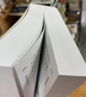 Dictionnaire amoureux du Japon